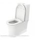 Duravit monobloc floor-standing toilet, White Tulip 219709 series, with WonderGliss treatment