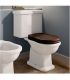 Close-coupled toilet Flaminia Efi