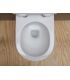 Wc sospeso Ceramica Flaminia serie App AP118G con go clean