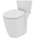 Wc monoblocco alto 46 cm Ideal Standard Connect Freedom