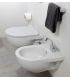 Wall hung toilet, Flaminia, collection quick without seat