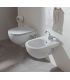 Wc sospeso Ceramica Flaminia serie quick senza sedile art.QK118