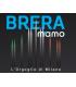 External shower mixer M'amo Brera series