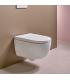 Geberit Aquaclean Alba Multifunctional Wall-hung WC