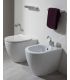 Flaminia Link Plus Flush-To-Wall Toilet For Replacement LK117RG